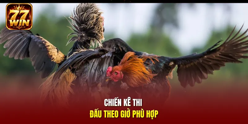 Chiến kê thi đấu theo giờ phù hợp