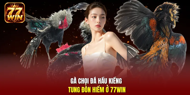 Gà chọi đá hầu kiềng tung đòn hiểm ở 77Win
