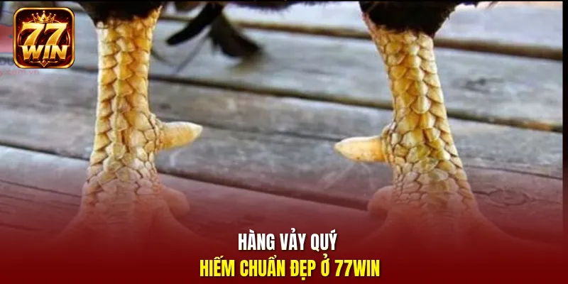 Hàng vảy quý hiếm chuẩn đẹp ở 77Win