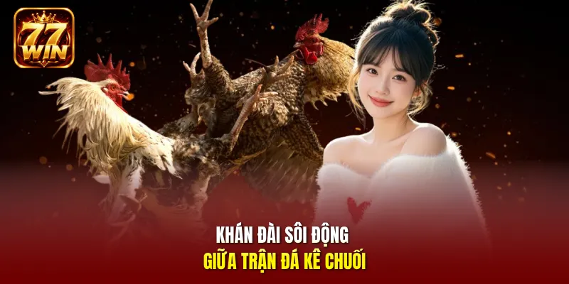 Khán đài sôi động giữa trận đá kê chuối