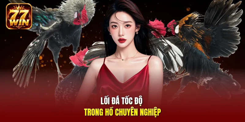 Lối đá tốc độ trong hồ chuyên nghiệp