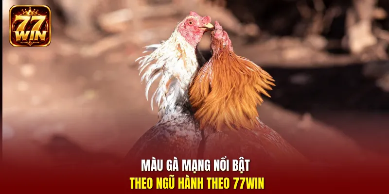 Màu gà mạng nổi bật theo ngũ hành theo 77Win