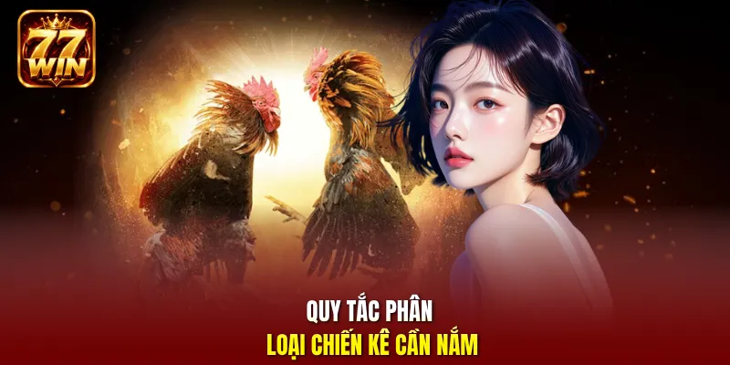 Quy tắc phân loại chiến kê cần nắm